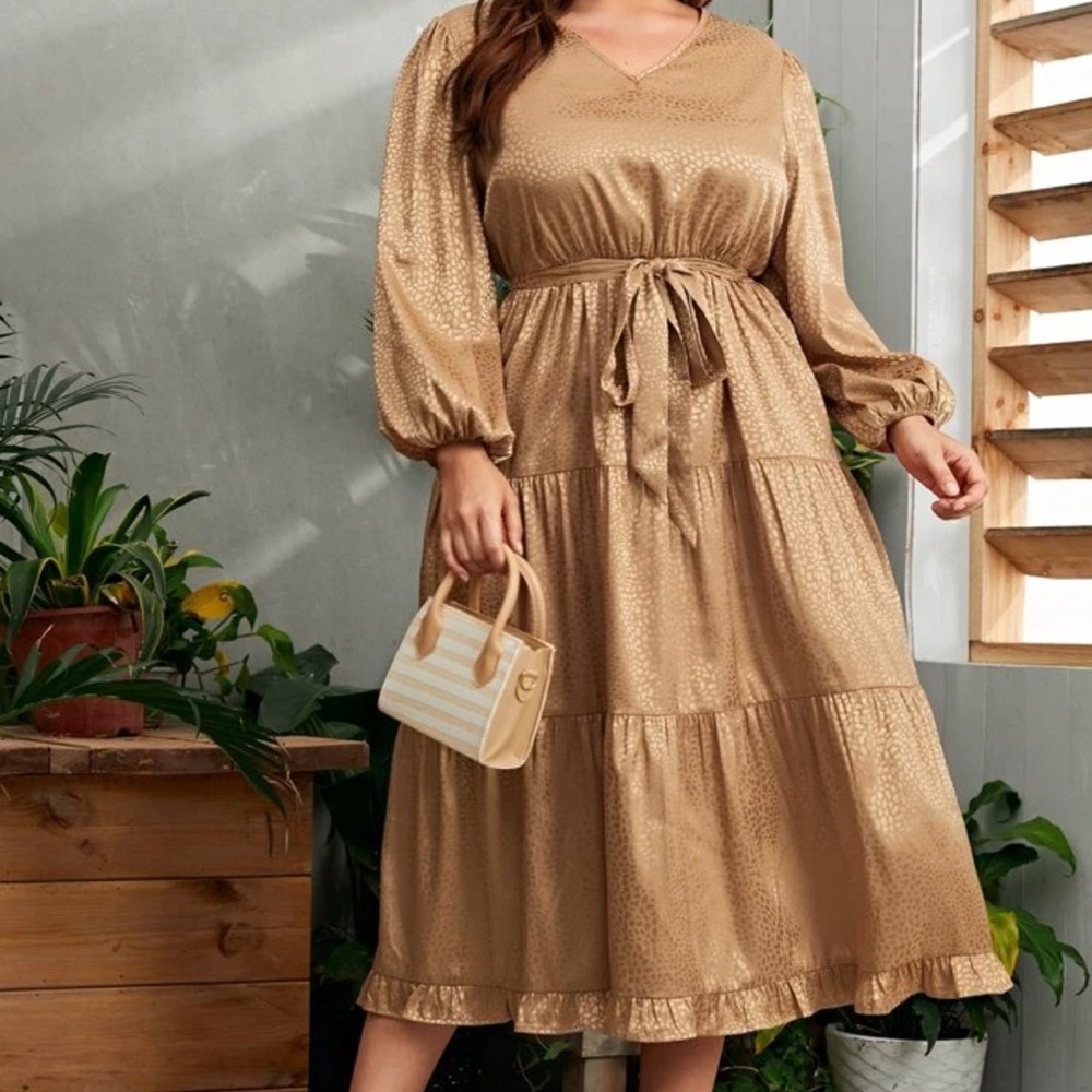 Bishop Sleeves sheer leopard dress.
